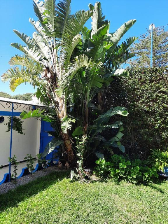 Maison D Hotes Marine Ksar Sghir Exteriör bild